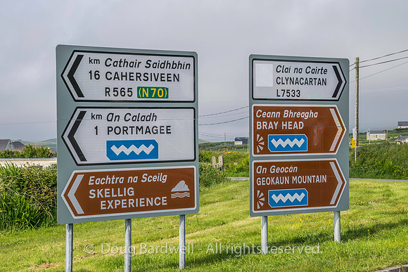 Ireland-4935