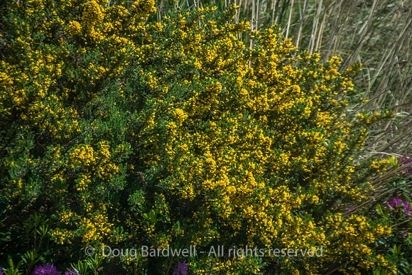 County-Mayo-2560
