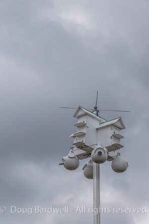 Presque_Isle-9320