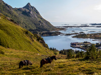 Norway to sort