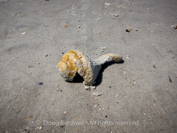 Wrightsville-0477