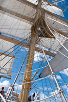 Mast Climbing