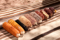 Cultural tour of the Atacamena community