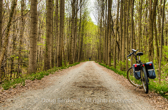 53-Great_Allegheny_Passage