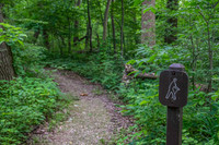 Sheldons_Marsh-8309