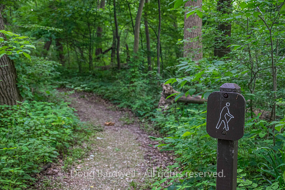 Sheldons_Marsh-8309