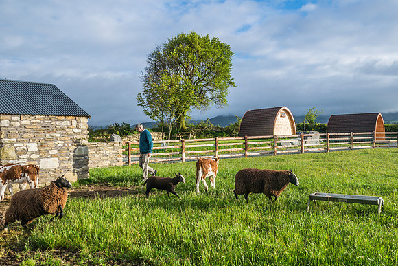 PodPairc-3854