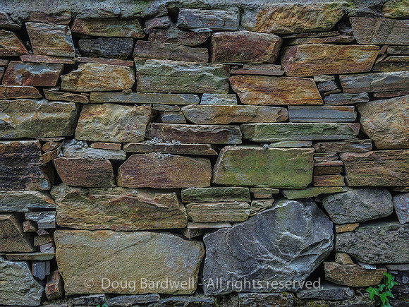 Galway-8665