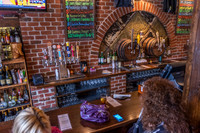 U_Pick_6_Tap_Room-9400