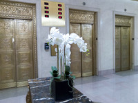 200513-L16_06149