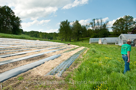 100514_3CS9887