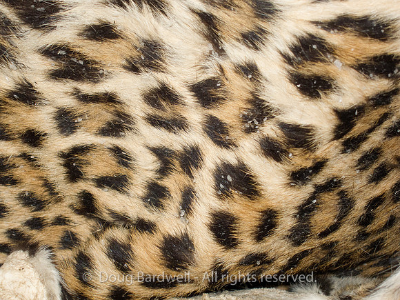 111012IMG_0422