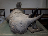111012IMG_0389