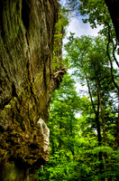 RedRiverGorge--3