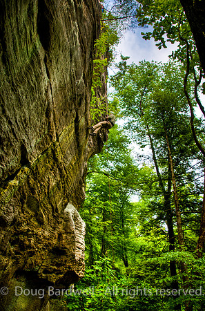 RedRiverGorge--3