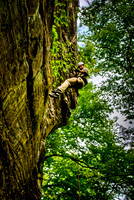 RedRiverGorge--2
