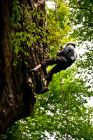 RedRiverGorge-8983