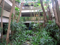 YoHo- Bike-Hotel-6419
