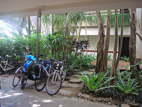 YoHo- Bike-Hotel-6417