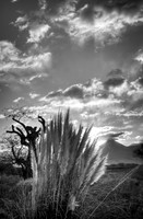 110807_DSC1722-_HE