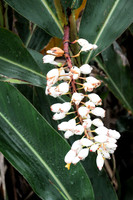 Yehliu-1292