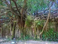 Tainan--4