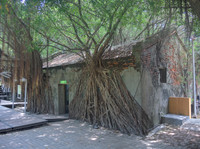 Tainan-