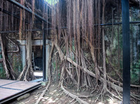 Tainan--3