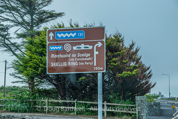 Ireland-4869