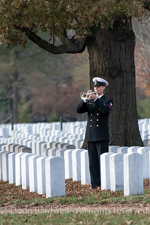 Arlington -181119-9814