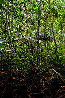 110627_DSC7469-PS-PS