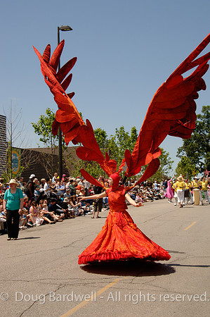090613_DBX9036.jpg