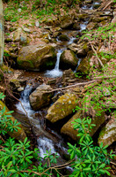 55-Great_Allegheny_Passage