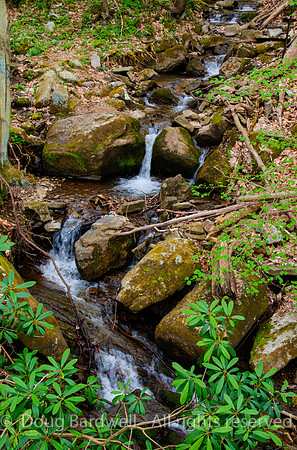 55-Great_Allegheny_Passage