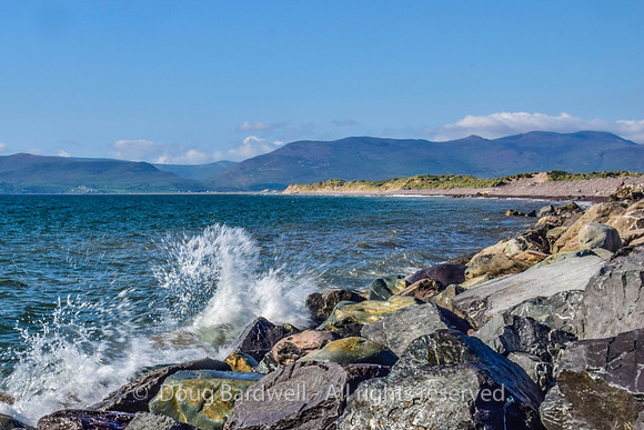Ireland-4669