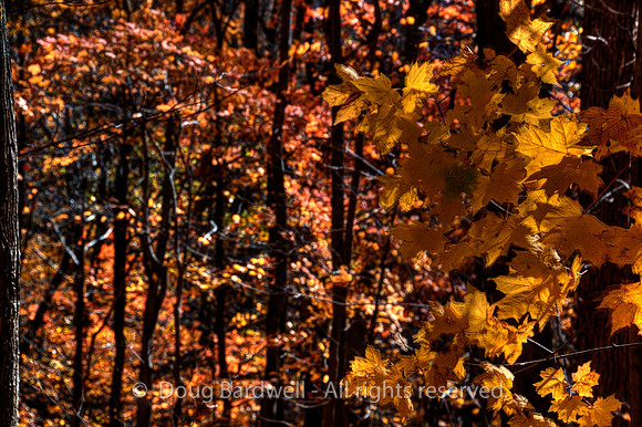 121024-3268__H