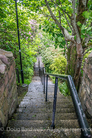 WildAtlanticWay-2536