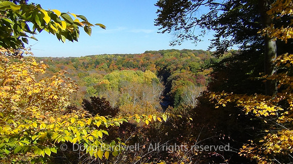 121016DSC00198