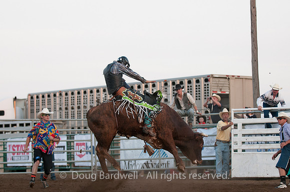 Rodeo-7721
