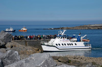 Ireland-4282