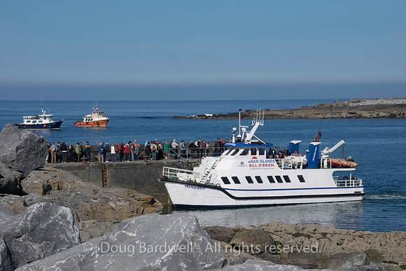 Ireland-4282