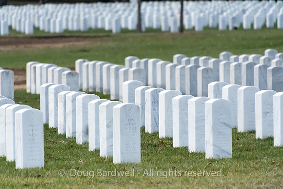 Arlington -181119-9891