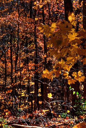 121024-3258__H
