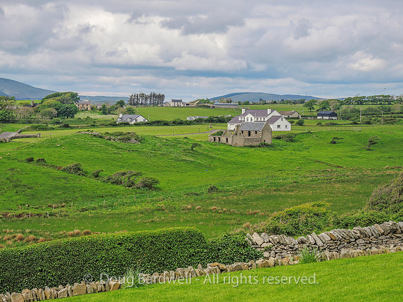 Donegal-8611