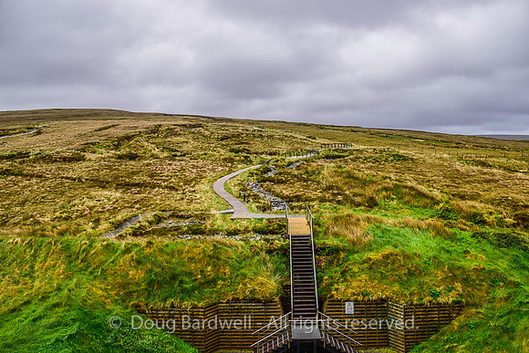 WildAtlanticWay-2443