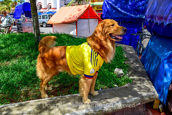 Colombia-7485