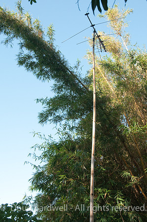 100122_3CS1208