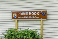Prime Hook-8871