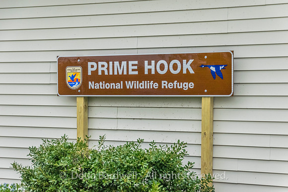 Prime Hook-8871
