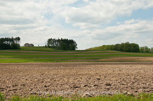 100515_3CS0423